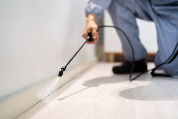 Licensed Mosquito Control service in Richmond, VA - Show Me Pest Control