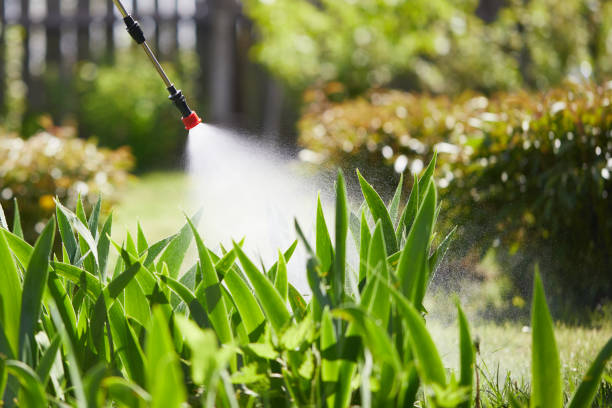 24/7 Emergency Mosquito Control experts in Richmond, VA
