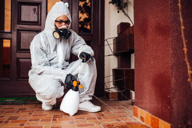 Reliable Mosquito Control contractor in Richmond, VA by Show Me Pest Control