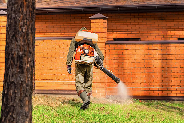 Top rated local Mosquito Control specialists in Richmond, VA